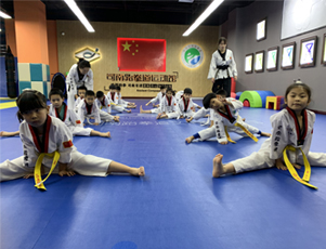 高新区专业幼儿跆拳道培训机构多少钱