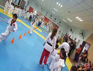 稀土高新区正规儿童跆拳道培训机构多少钱